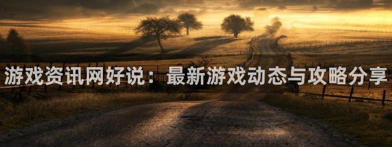 鼎点娱乐注册官方登录app：游戏资讯网好说：最新游戏动态与攻