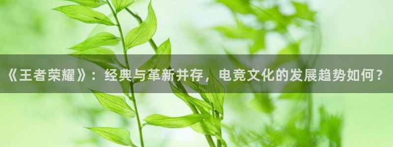 鼎点娱乐集团：《王者荣耀》：经典与革新并存，电竞文化的发展趋