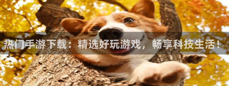 鼎点娱乐注册平台：热门手游下载：精选好玩游戏，畅享科技生活！