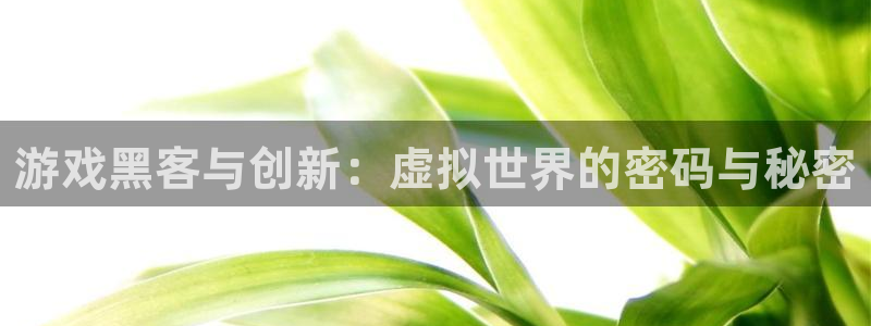 鼎点娱乐注册登录平台：游戏黑客与创新：虚拟世界的密码与秘密